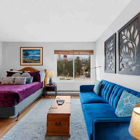 Blazing Saddles 102 By Summit County Mountain Retreats Apartment